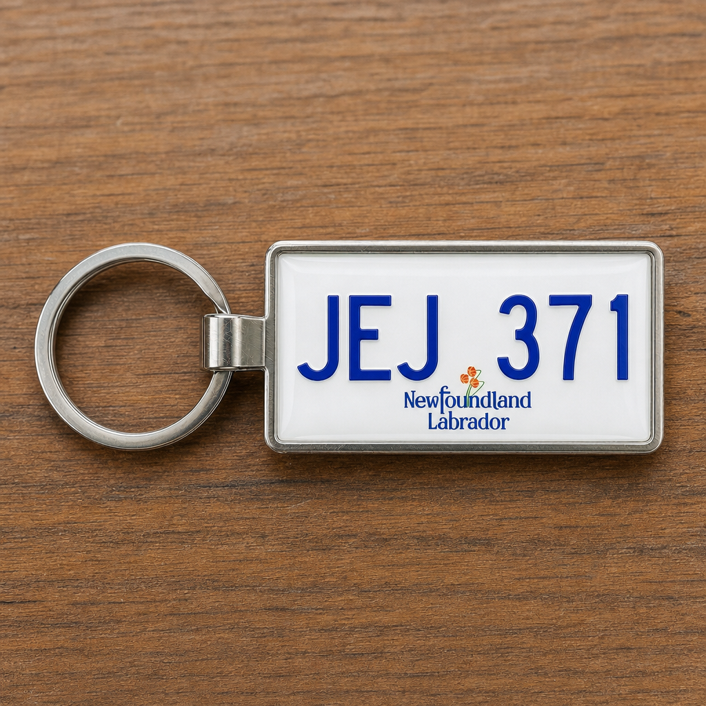 Newfoundland License Plate Keychains: The Trending Souvenir Gift Canadians Are Sharing on Instagram