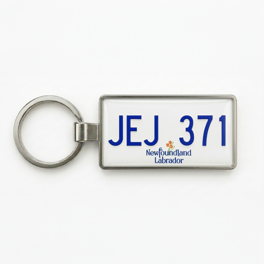 Porte-clés plaque d'immatriculation personnalisée de Terre-Neuve 