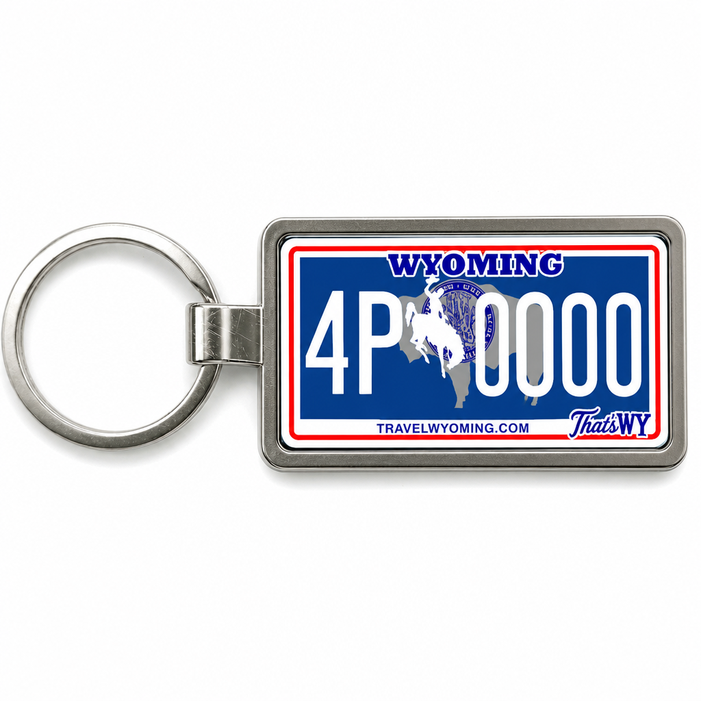 Wyoming license plate keychain close-up macro
